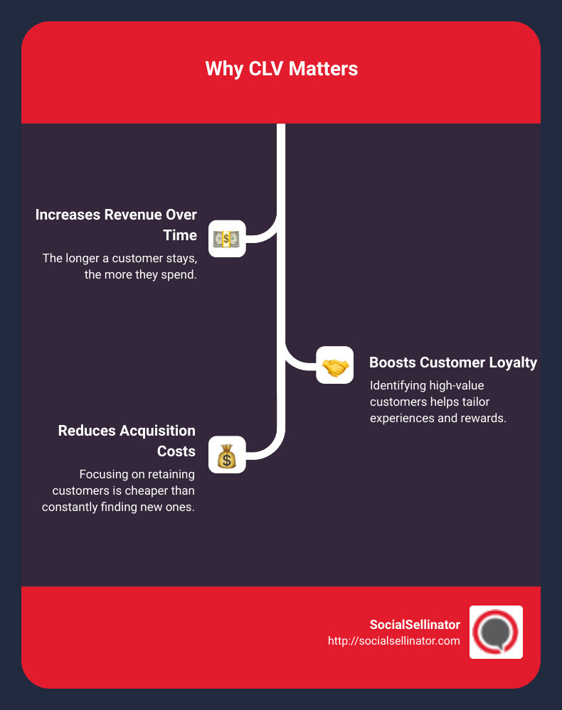 CLV explained infographic - clv infographic infographic-line-3-steps