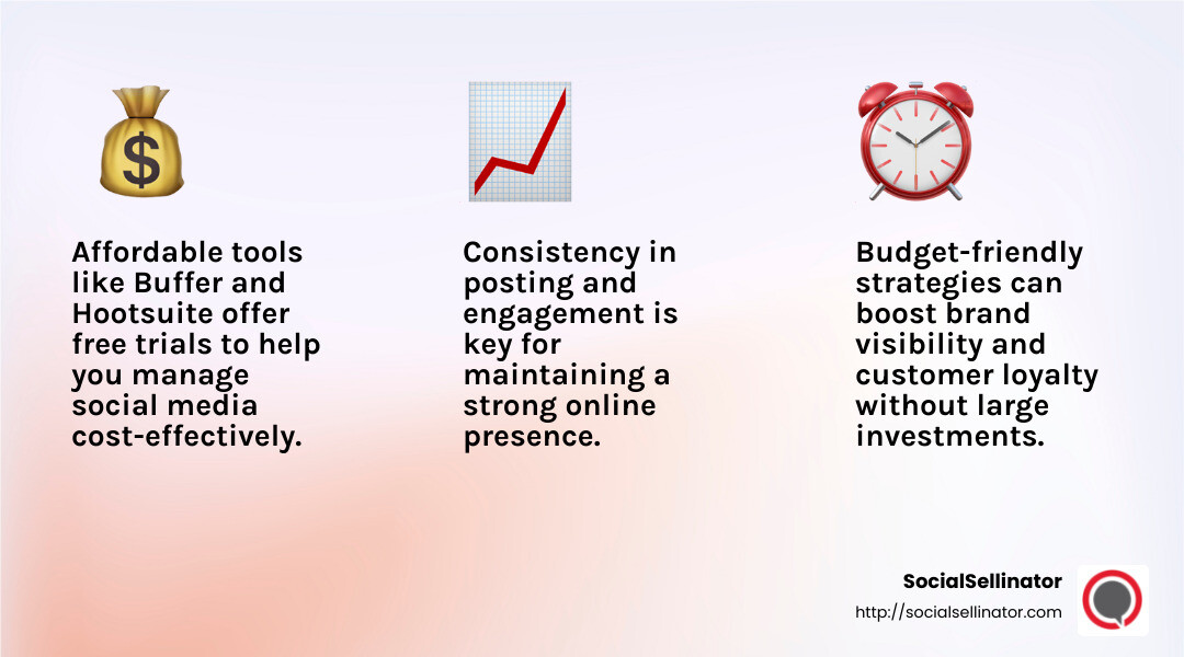 Affordable social media management tools offer a range of features to help small businesses thrive. - Low-cost social media management infographic 3_facts_emoji_light-gradient