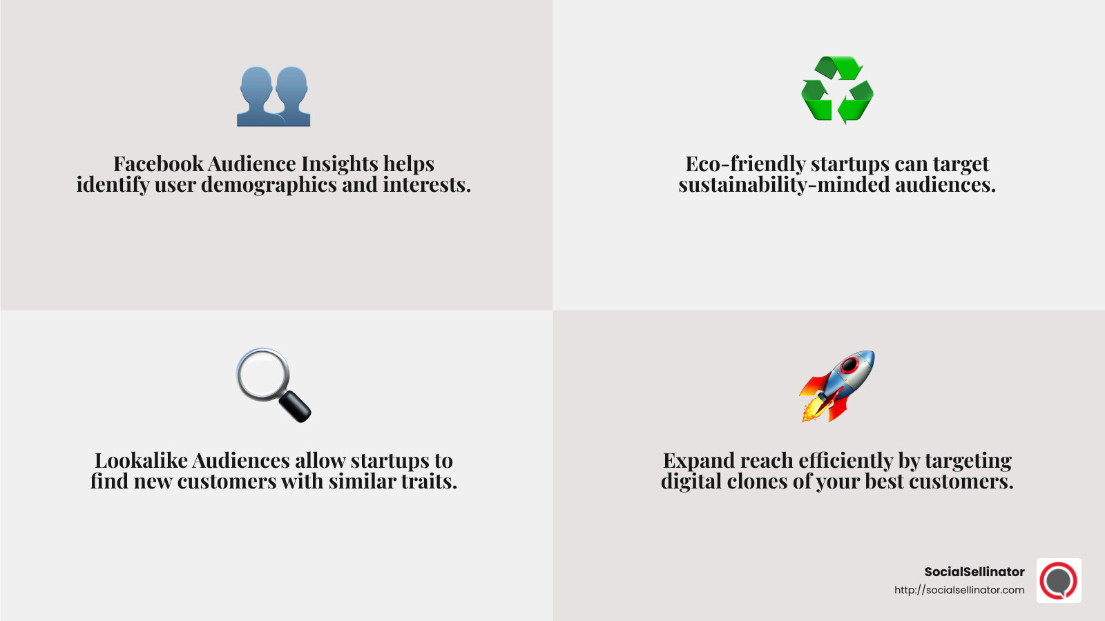 Description of Facebook Audience Insights - Facebook Ads for Startups infographic 4_facts_emoji_grey