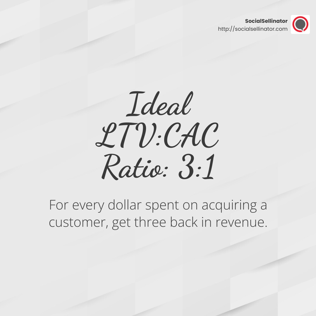 LTV:CAC ratio of 3:1 is considered ideal for profitability - customer acquisition cost and lifetime value infographic simple-stat-light