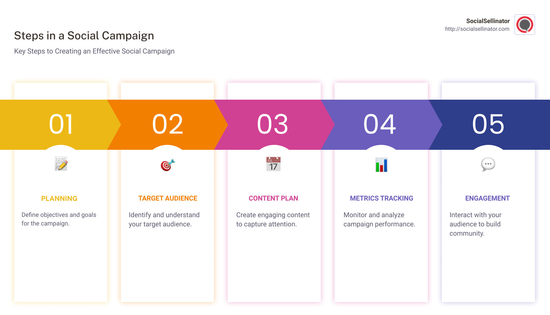Steps in a Social Campaign Infographic - a social campaign infographic pillar-5-steps
