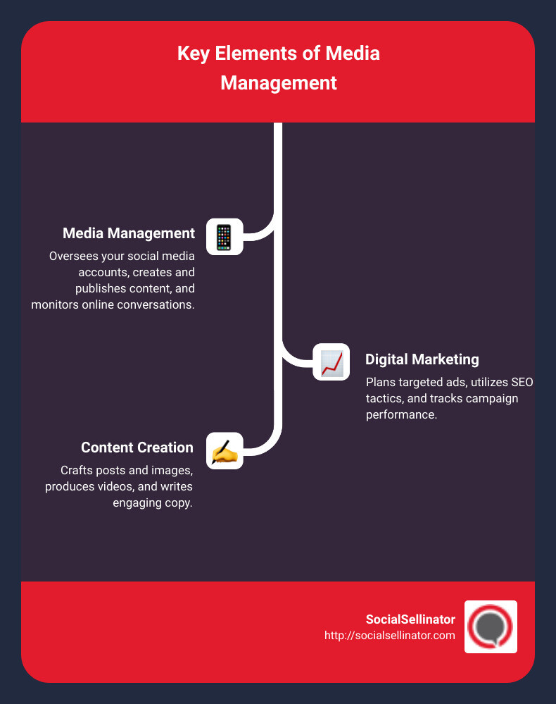 media management overview - media management company infographic infographic-line-3-steps