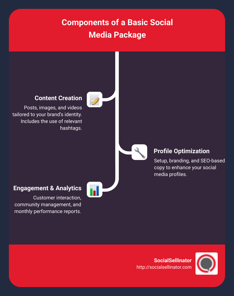 Components of a Basic Social Media Package - basic social media package infographic infographic-line-3-steps