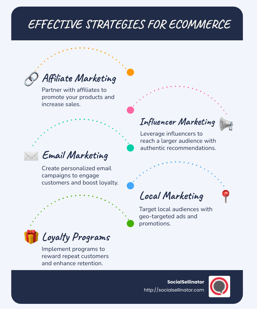 The Role of Digital Marketing in Ecommerce - digital marketing services for ecommerce infographic infographic-line-5-steps-blues-accent_colors