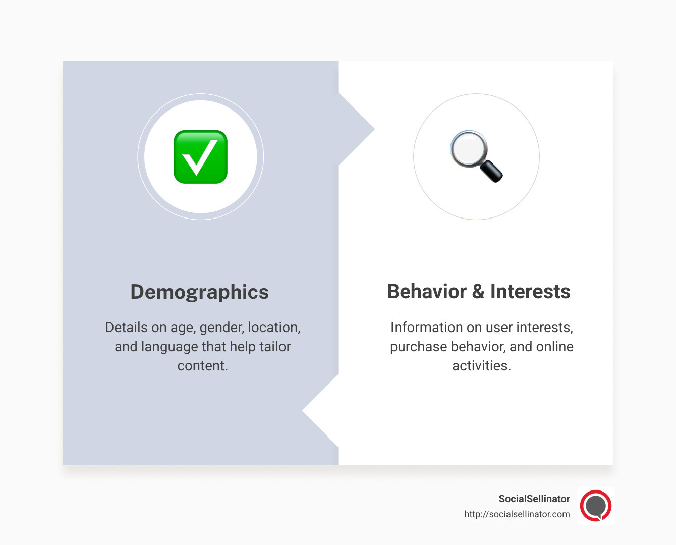 Detailed infographic showing the components of social media audience insights, including demographics, interests, behaviors, and engagement metrics, with examples like age range, popular content types, and peak interaction times - social media audience insights infographic comparison-2-items-formal
