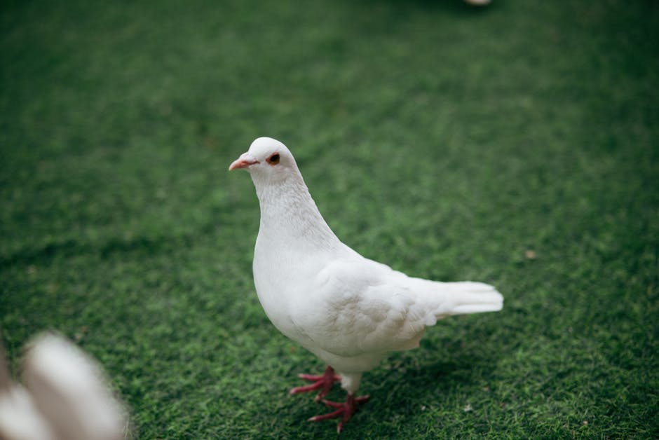 Dove’s #SpeakBeautiful - twitter marketing case studies