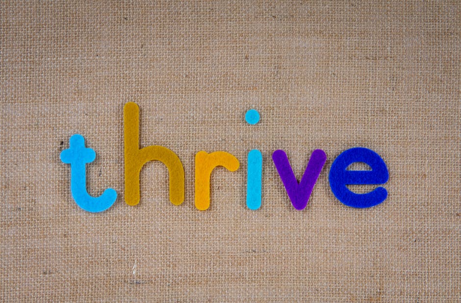 Thrive - online marketing services near me