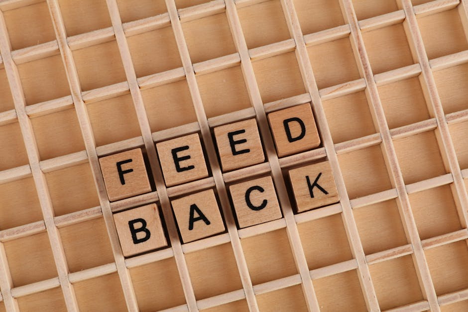 Feedback loops and continuous improvement - B2B customer engagement strategies