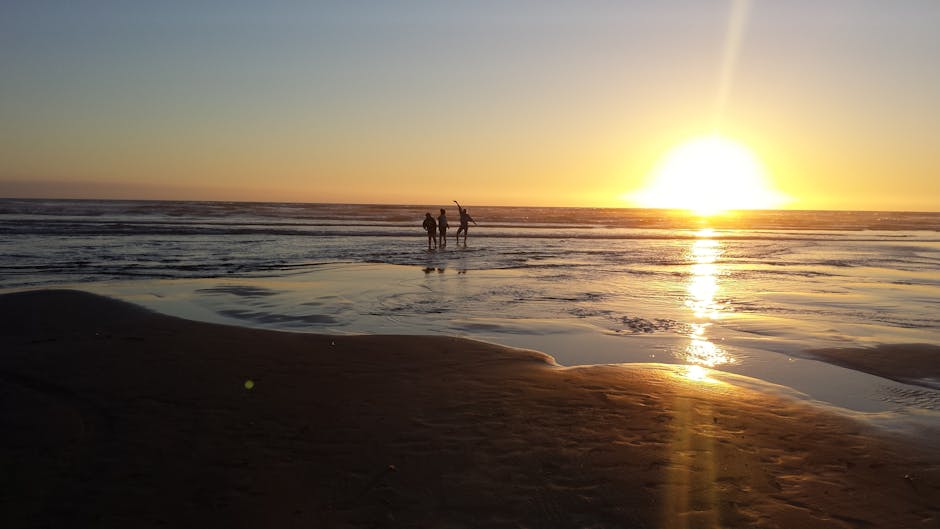 consultant reviewing analytics with client - bing ads consultant